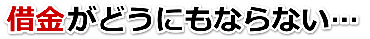 ؋ǂɂȂȂc͎sŕٌmi@mɖk